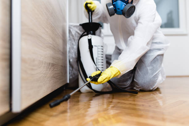 Best Best Pest Control Companies  in Parkway, CA