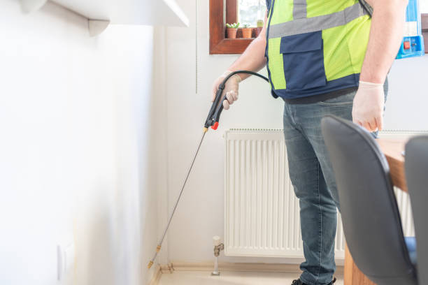 Best Pest Removal Services  in Parkway, CA