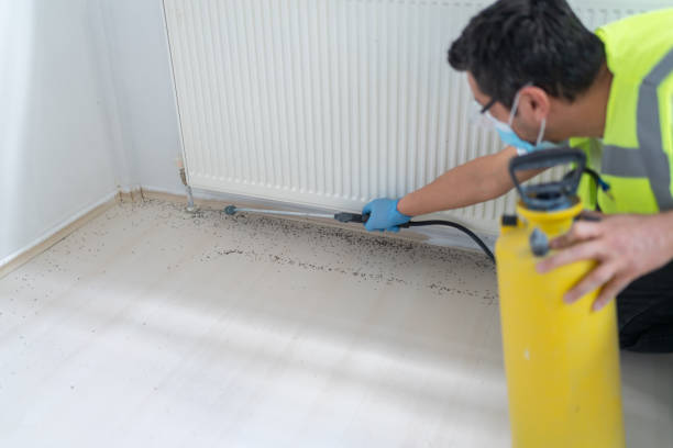 Best Pest Prevention Services  in Parkway, CA